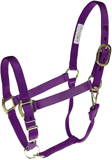 monogrammed horse halters for sale.